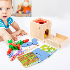 Montessori Sensory Toys